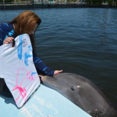 Karen with her beloved dolphins - Carolyn Oakley