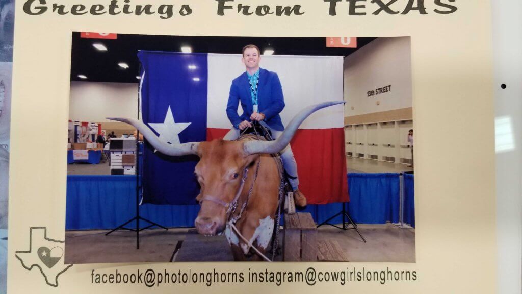 A picture of a person riding a steer.